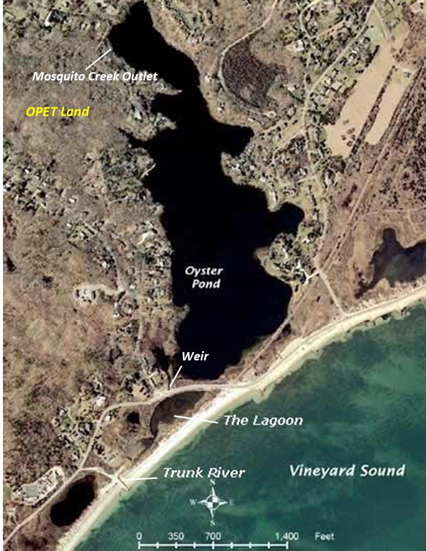 Oyster Pond and Our Land Oyster Pond Environmental Trust