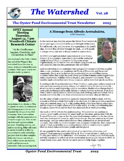 Image of front page of summer newsletter 2025