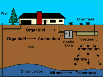 schematic of septic system