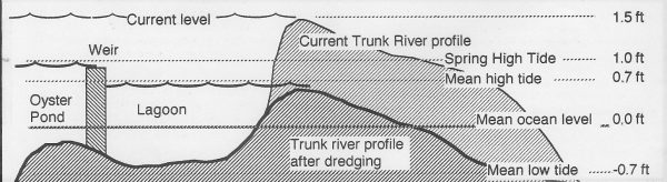 Trunk River and Oyster Pond elevation profile