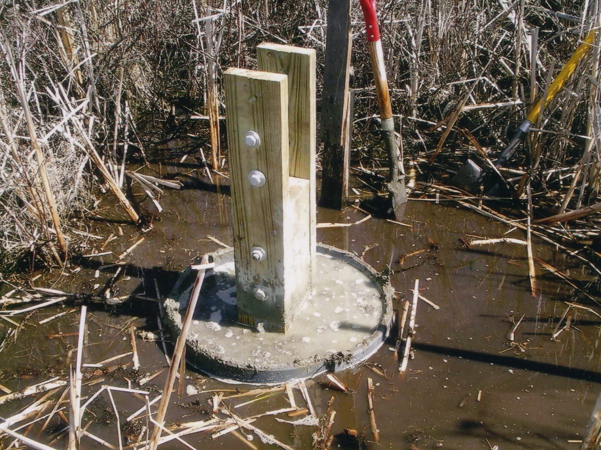 What We Do Oyster Pond Environmental Trust